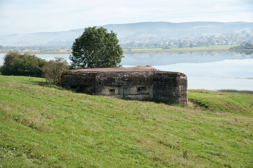 Vue par @oiseaux_sauvages