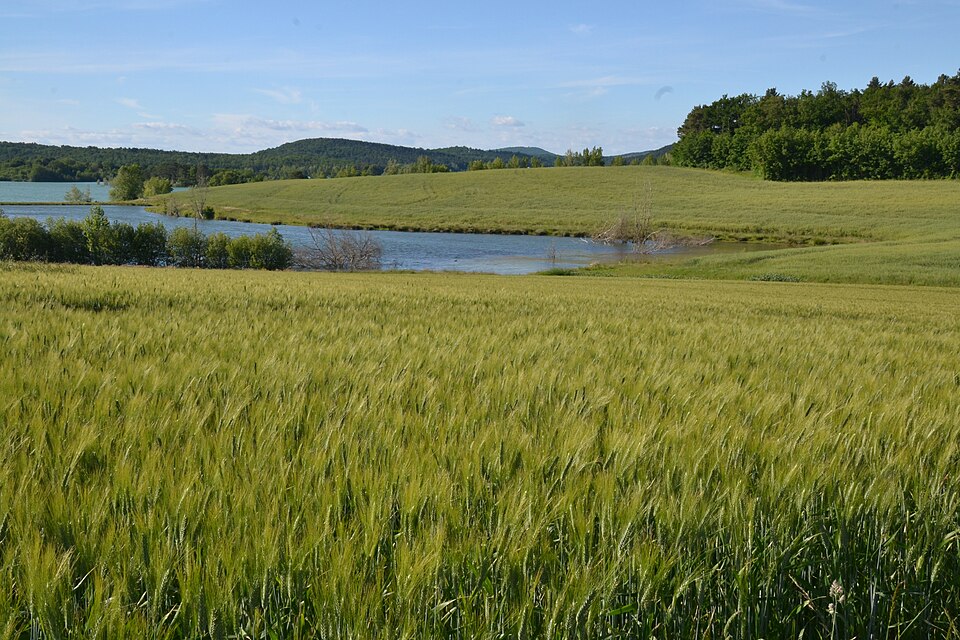 Vue par @ariege_pyrenees