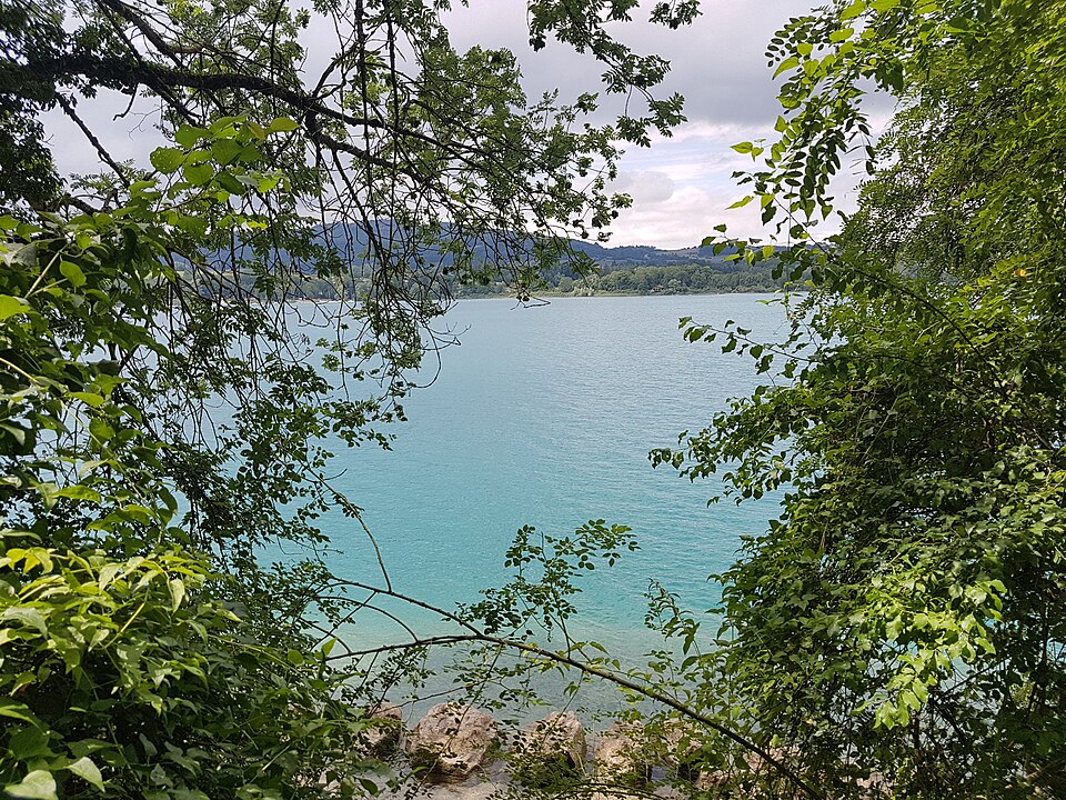 Vue par @lac_paladru