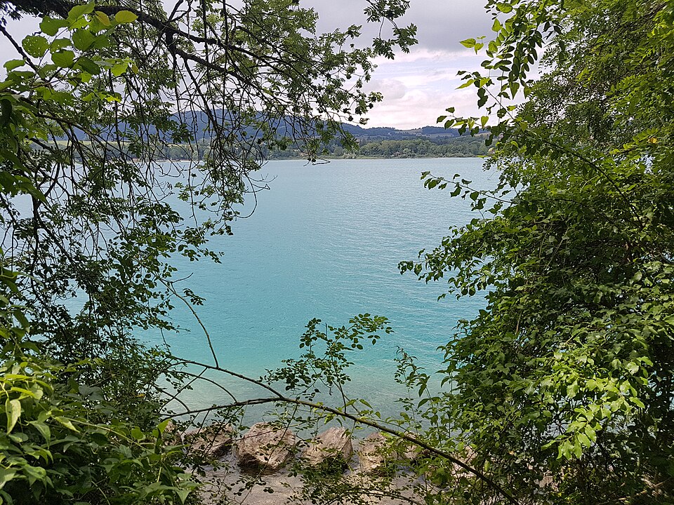 Vue par @voiron_nature