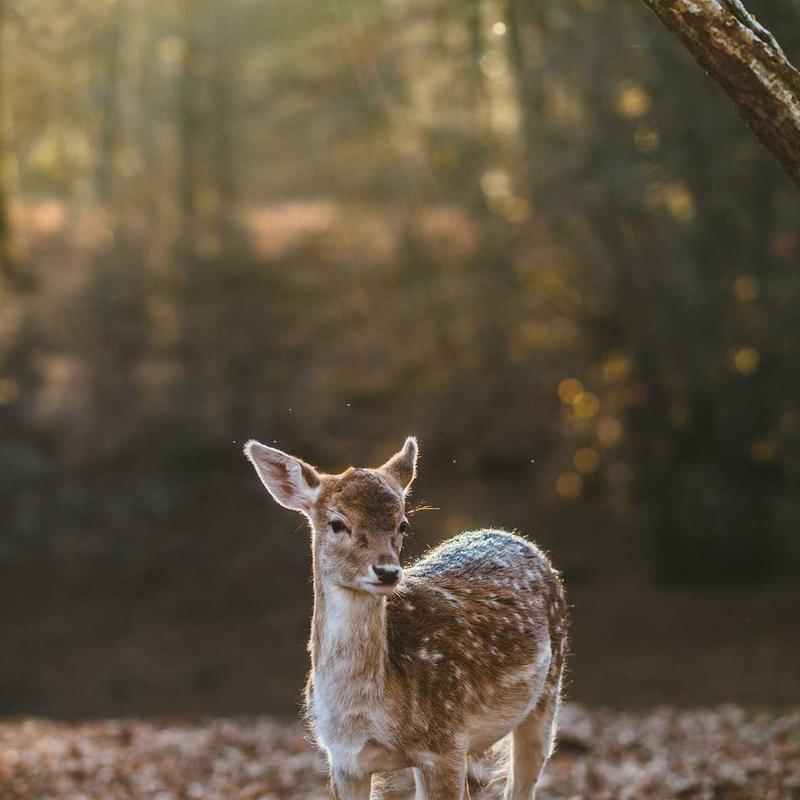 Vue par @wild_photographer