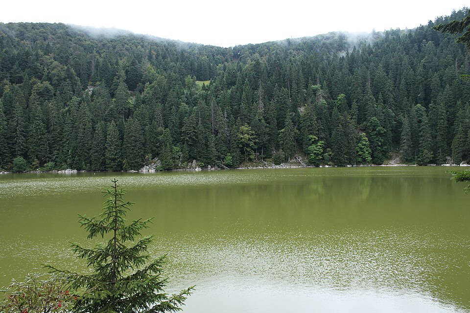 Vue par @mountain_goat