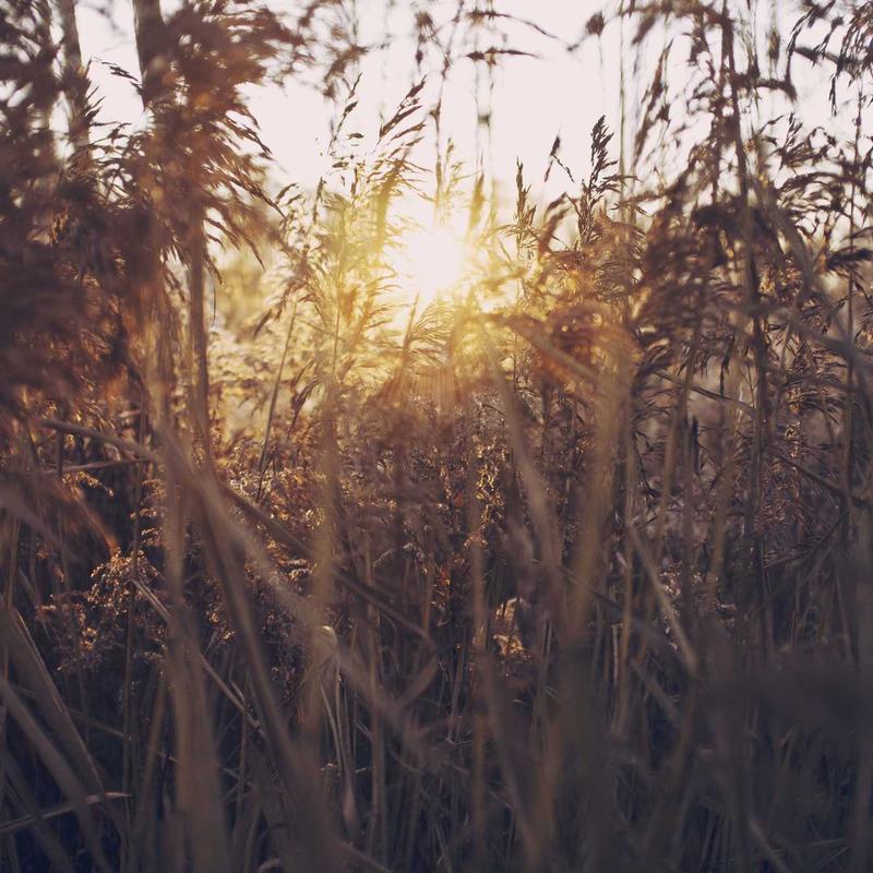 Vue par @nature_vibes_fr