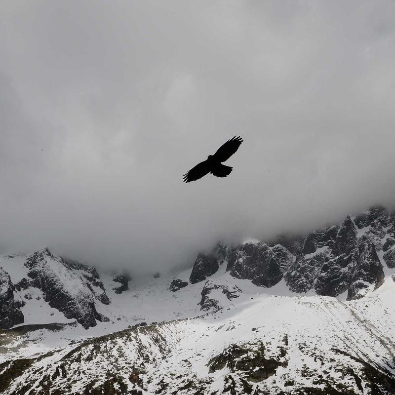 Vue par @wild_photographer