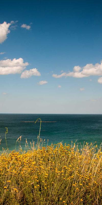 Vue par @vue_du_ciel