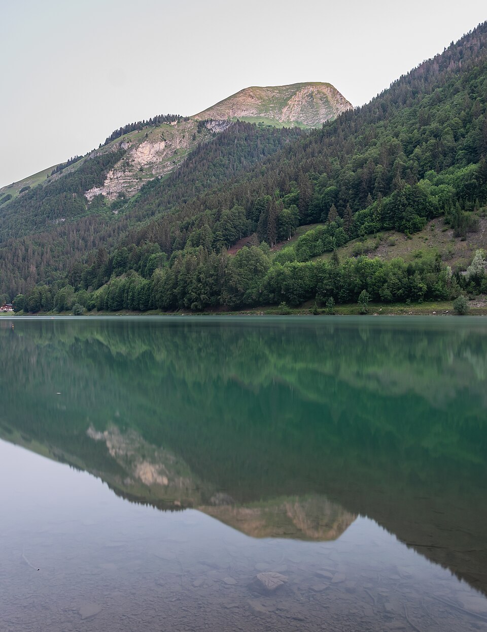 Lac de Montriond