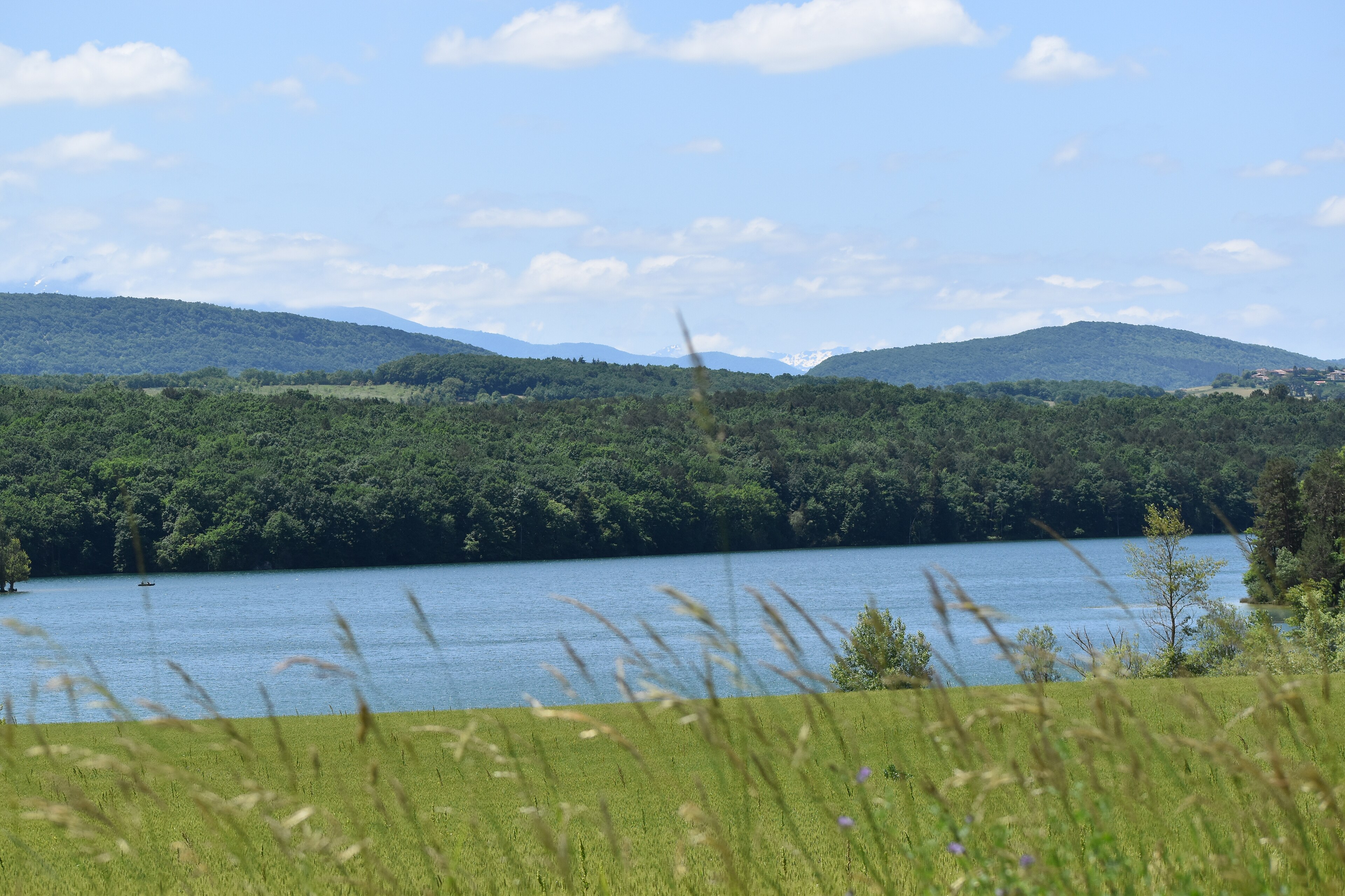lac de Montbel