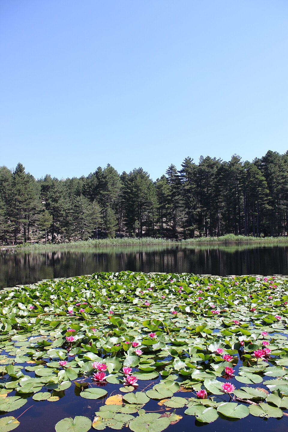 Lac de Creno